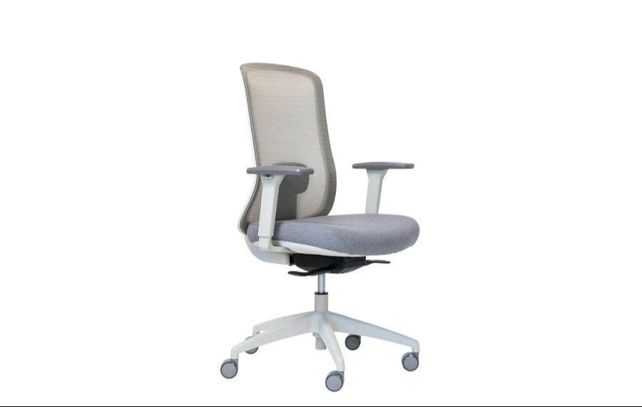 Buro Elan Mesh Back