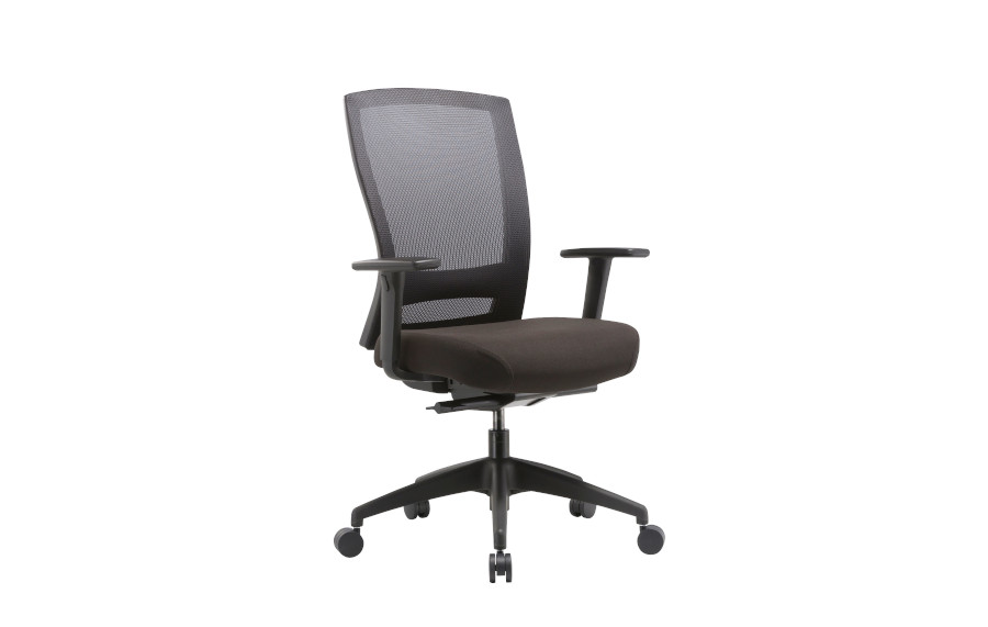 Adjustable Arms