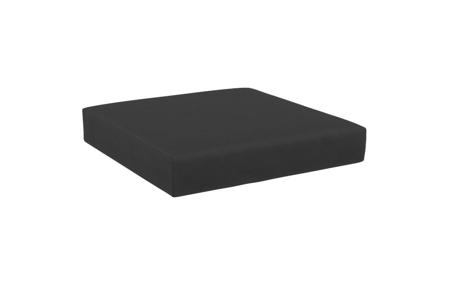 Black Back & Seat Cushion