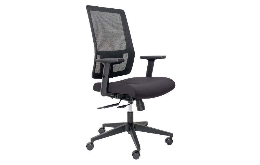 Adjustable Arms