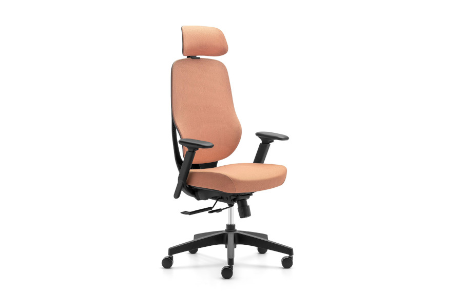 Coral Head Rest